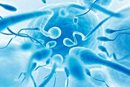 Лейкоцітоспермія у чоловіків: що це таке, причини, лікування, ймовірність вагітності