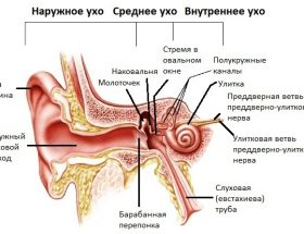 Розрив барабанної перетинки: специфічні симптоми, правила надання першої допомоги, наслідки травми