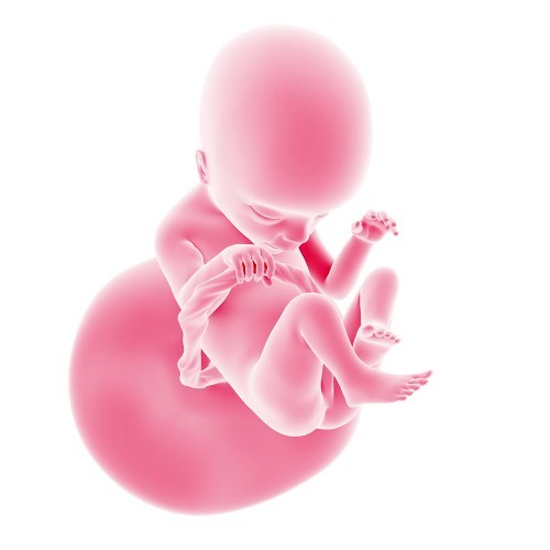 18 тиждень вагітності: що відбувається з малюком, ворушіння, відчуття мами
