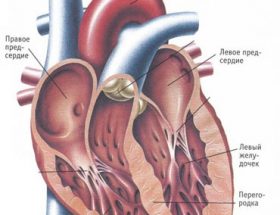 Серцева недостатність: симптоми і лікування, діагностика