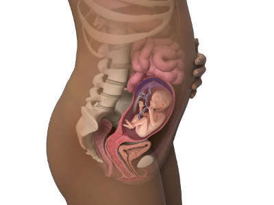 22 тиждень вагітності: розвиток плода, ворушіння, болю, виділення на 22 тижні