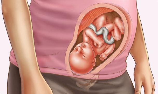 29 тиждень вагітності: розвиток плода, зріст і вагу, що відбувається з мамою