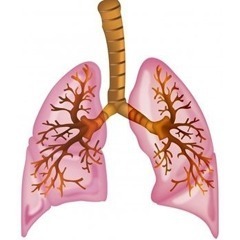 Фіброз легенів: що це таке і як лікувати, симптоми фіброзу легенів і лікування