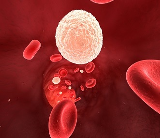 Підвищений вміст лейкоцитів в крові: основні причини