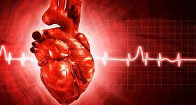 Симптоми і види аритмії серця, ефективні методи терапії народними засобами