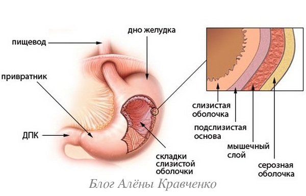 Насіння льону для шлунка: рецепти відвару і лікувальних засобів, відгуки пацієнтів