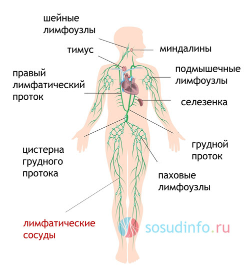 Що таке лимфангит, види, симптоми, діагностика та лікування лимфангита