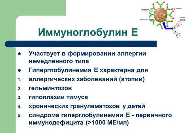 Алергія на цвіль в квартир, в будинку, лікування у дитини, що робити при алергії