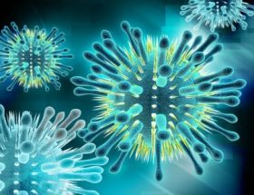 Риновирусная інфекція: відмітні ознаки, методи лікування та профілактики
