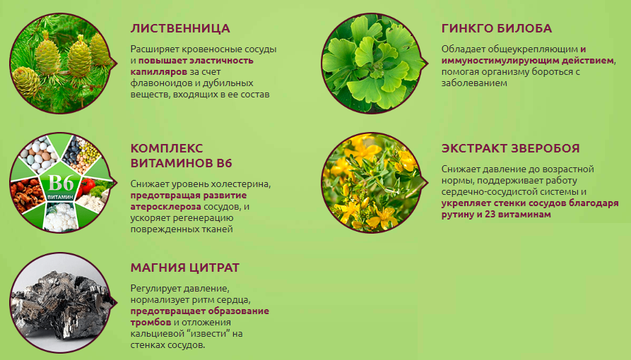 Трава повышающая. Растение для понижения давления. Растение нормализующее давление. Травы снижающие давление. Растения снижающие давление.