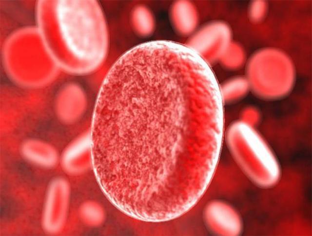 Чому підвищений білок в крові: причини високого показника і норма