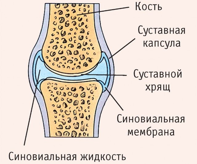 Гіалуронова кислота для суглобів: огляд препаратів для лікування, уколи в коліно