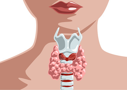 Обстеження щитовидної залози: діагностика щитовидки, рекомендовані аналізи та обстеження