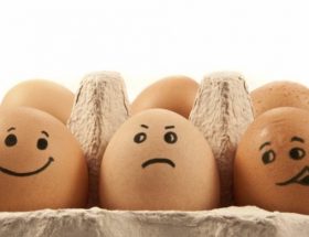 Склад курячого яйця: шкідливі і корисні речовини, як правильно вибирати продукти
