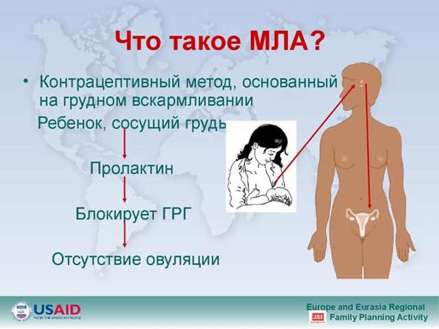 Чи можна завагітніти відразу після пологів, як убезпечити себе після пологів