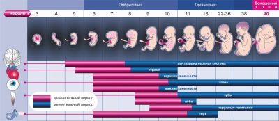 38 тиждень вагітності: провісники пологів, зріст і вагу плоду, самопочуття мами