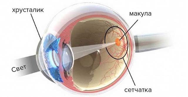 Макулярної набряк очі: види (діабетичний, дифузний, кістозний), причини і лікування