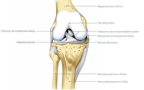 Болить коліно: що робити і до якого лікаря звертатися при болях в коліні