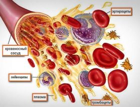 Аналіз крові при гаймориті: як проводитиметься і що показує
