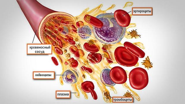 Аналіз крові при гаймориті: як проводитиметься і що показує