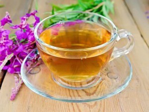 Іван-чай: відомості про лікарську рослину, показання та протипоказання до застосування