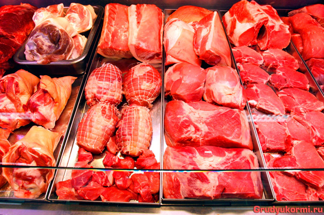 Як вводити м'ясо в прикорм дитини: коли вводити м'ясо, з якого м'яса починати прикорм дитині