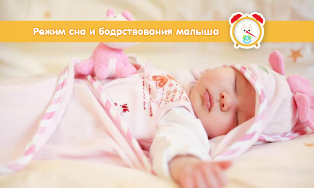 Скільки правильно повинен спати новонароджена дитина: режим сну і неспання