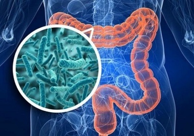 Туберкульоз кишечника: симптоми, лікування і прогноз для життя