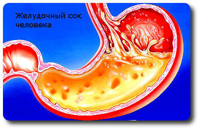 Склад шлункового соку: компоненти біологічної рідини, фази вироблення
