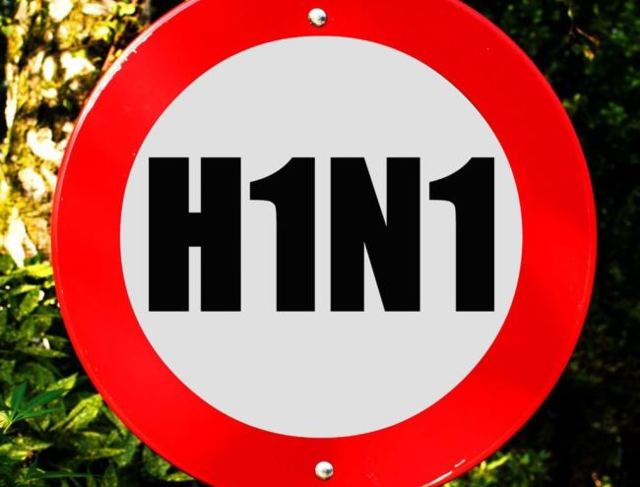 Як уберегтися від свинячого грипу h1n1: профілактика свинячого грипу 