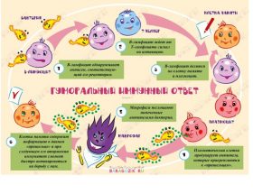 Чому дитина часто хворіє в дитячому садку: ознаки і симптоми ослабленого імунітету