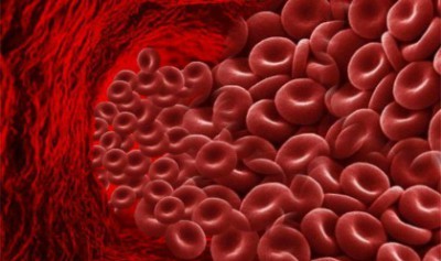 Чому підвищений гемоглобін в крові: причини підвищеного вмісту, через що підвищується