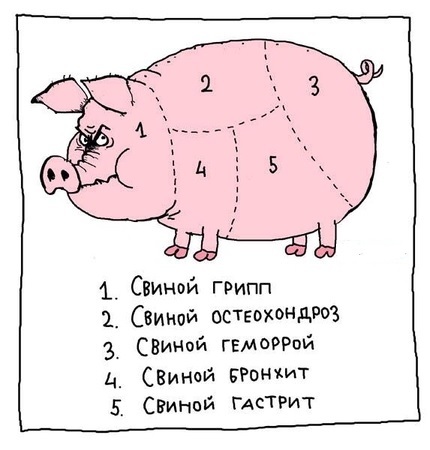 Як лікувати свинячий грип | ОкейДок