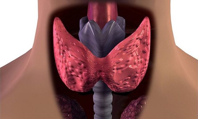 Збільшуються вузли в щитовидній залозі, чи приймати тироксин-л?