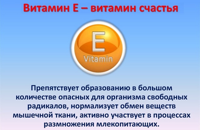 Для чоловіків вітамін Е: користь організму і дозування в капсулах 400 мг