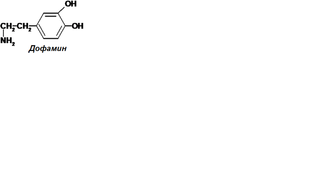 Склад шлункового соку: компоненти біологічної рідини, фази вироблення