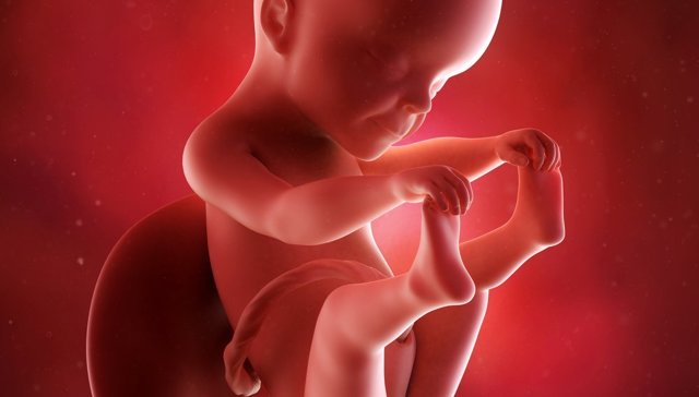 25 тиждень вагітності: розвиток плода, зріст і вагу, самопочуттям майбутньої мами