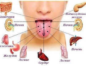 Симптоми захворювань жовчного міхура: причини болю в правому підребер'ї, появі нальоту на мові, гіркоти у роті