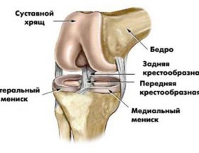 УЗД колінних суглобів: переваги і недоліки методу