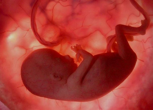 15 тиждень вагітності: що відбувається, відчуття в животі, фото живота