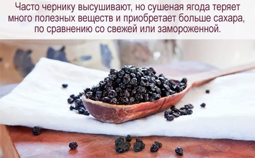 Корисні властивості чорниці, харчова цінність і хімічний склад, рецепти приготування, а також шкоду чорниці