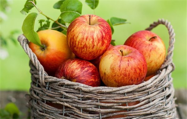 Скільки калорій в яблуці: користь і шкода для організму, харчова цінність, вживання при схудненні