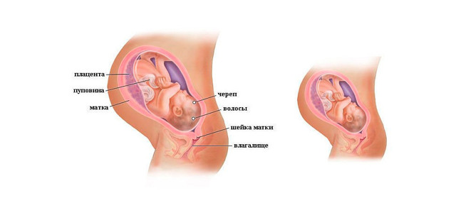 39 тиждень вагітності: провісники пологів, кам'яніє живіт, сутички