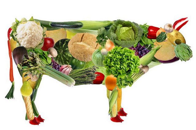 Чим замінити м'ясо вегетаріанцеві: продукти замінники м'яса