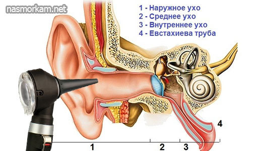 Чому закладає вуха і як лікувати вуха?