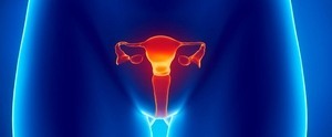 Трансабдомінальне узі малого таза: як проводиться дослідження матки і придатків