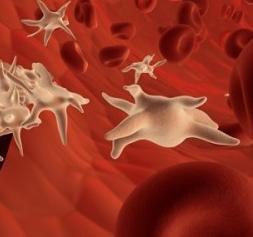 Знижені тромбоцити в крові: причини їх низького рівня