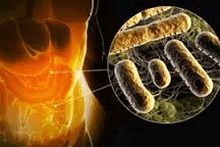 Туберкульоз гортані: причини, симптоми і лікування