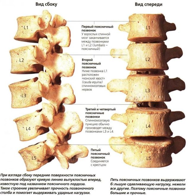 Сакралізація хребта - що це таке, наслідки та лікування