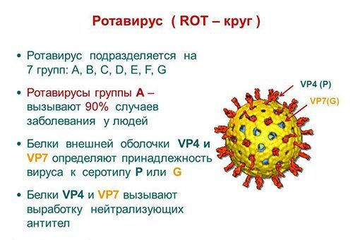 Як передається ротавірус